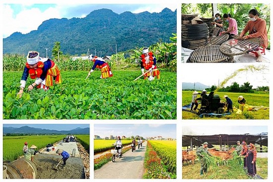pho thu tuong yeu cau khan truong quyet liet hon nua trong thuc hien cac chuong trinh muc tieu quoc gia