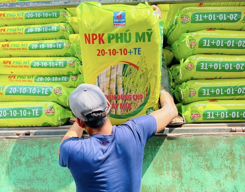 NPK Phú Mỹ 20-10-10 + TE: Hứa hẹn mang về thêm những vụ mía ngọt!