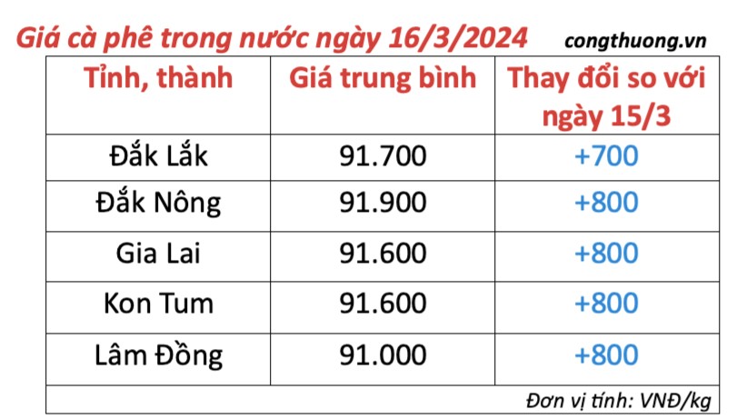 Giá cà phê hôm nay, 16/3/2024: Giá cà phê trong nước có xu hướng tăng trở lại