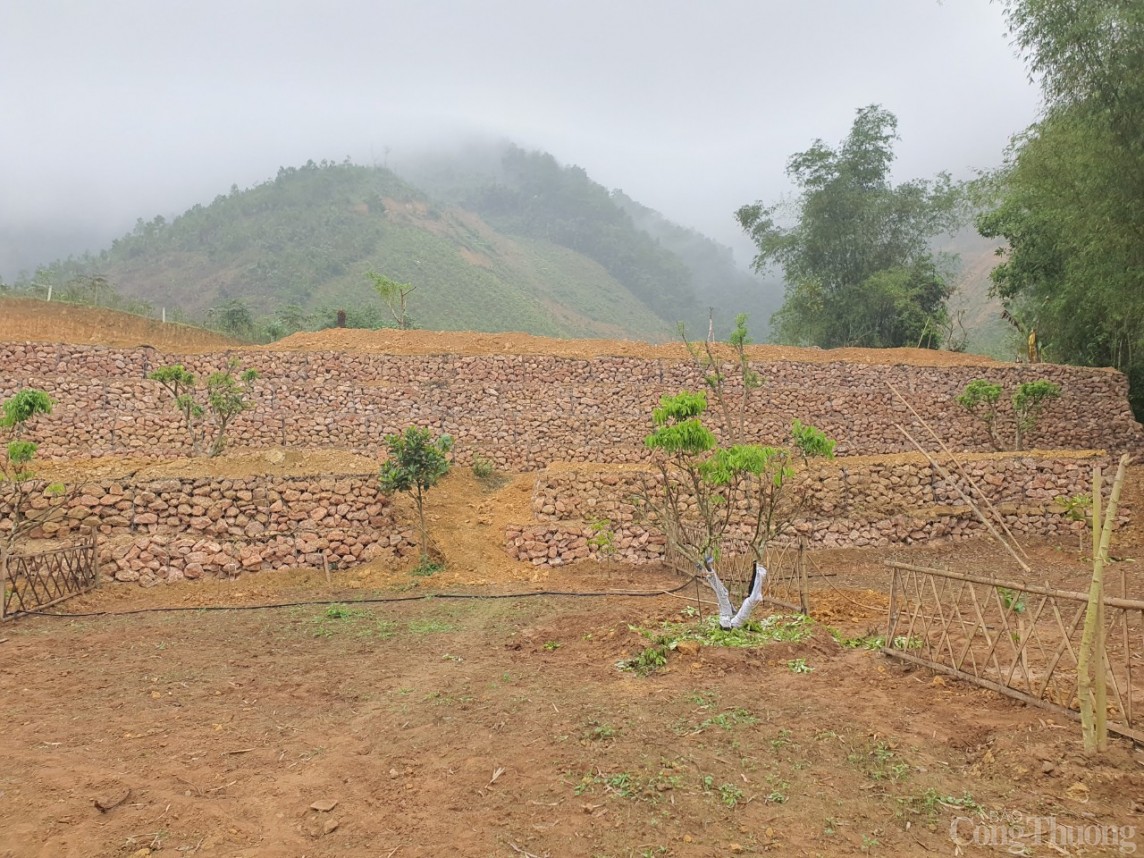 xây dựng trái phép