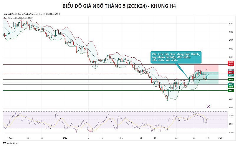 Giá ngô khả năng sẽ chỉ giằng co dưới vùng 450 trong phiên đầu tuần