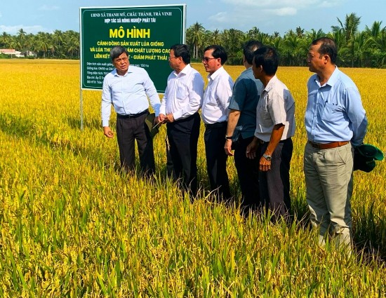 Đoàn công tác Bộ Nông nghiệp làm việc tại HTX Phát Tài - mô hình sử dụng NPK Phú Mỹ