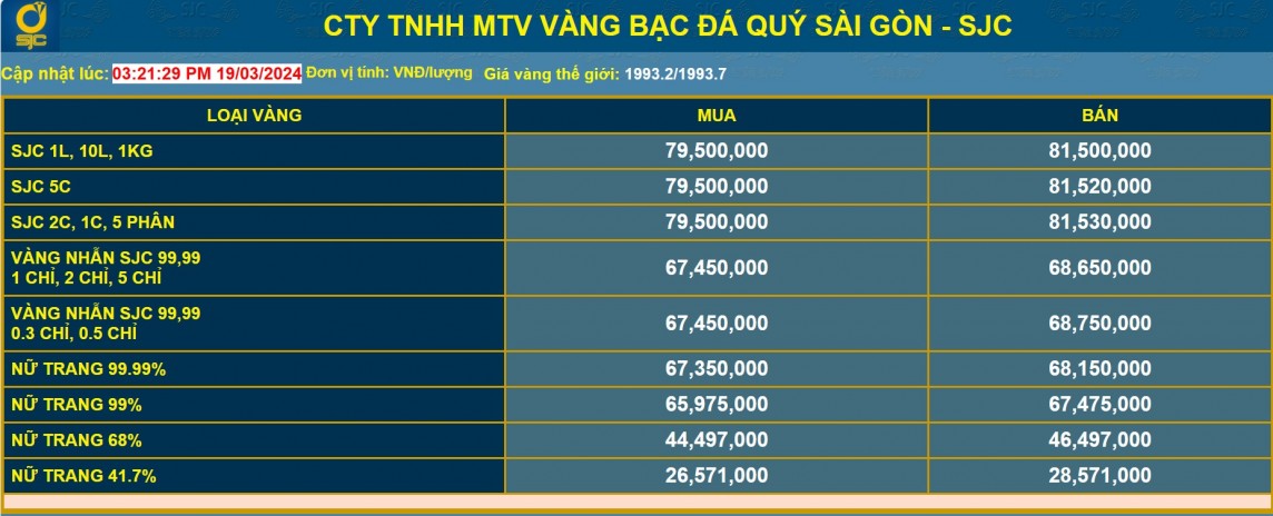 Vì sao chuyên gia dự báo giá vàng thế giới tăng 6% trong năm 2024?