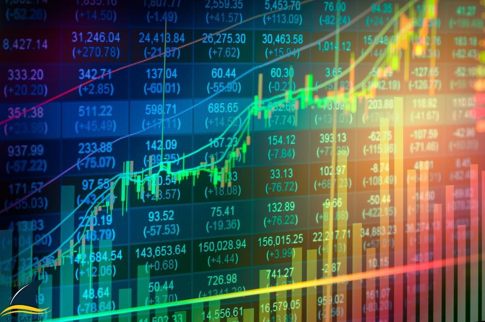Đầu tư chứng khoán nên bắt đầu từ đâu?