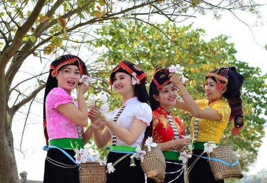 dien bien to chuc trien lam du lich qua cac mien di san va danh thang viet nam