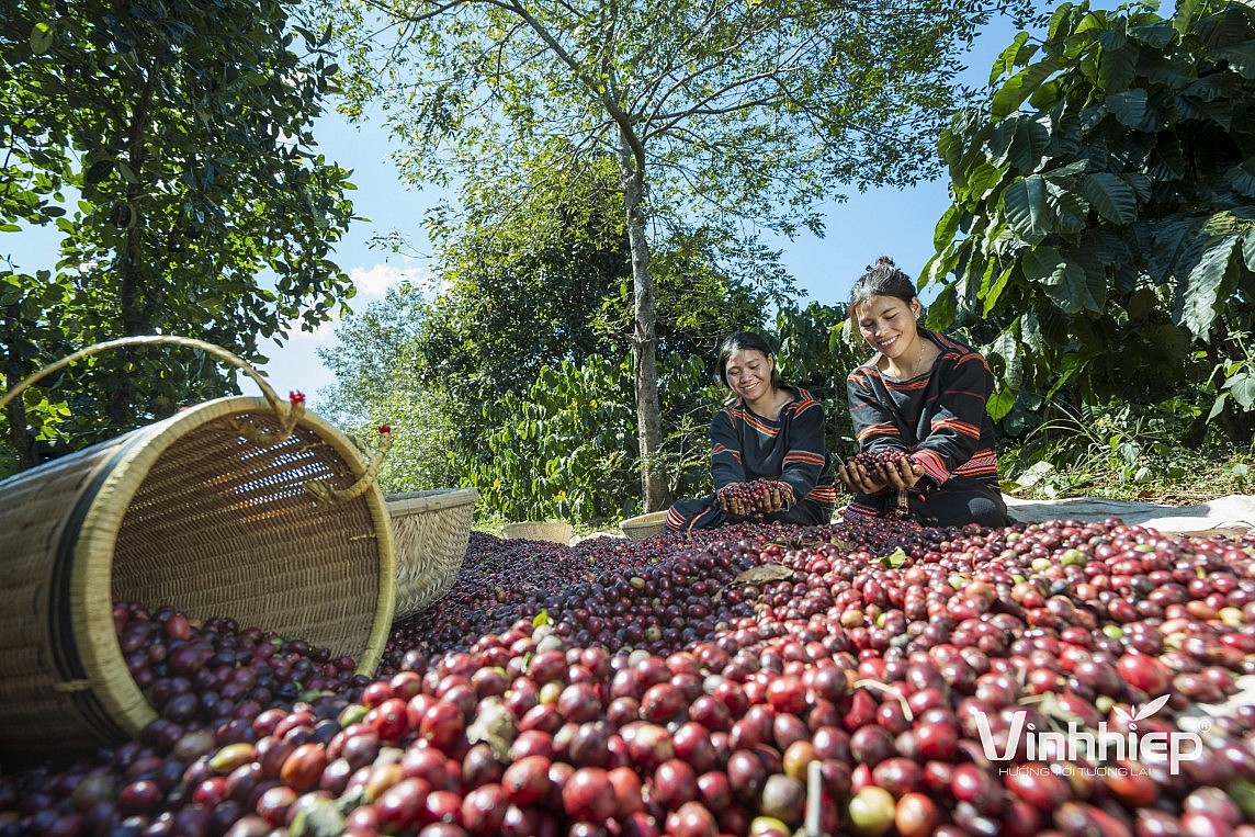 Bài 2: Xây dựng, phát triển thương hiệu quốc gia: Kiến tạo giá trị, sức mạnh mới cho đất nước