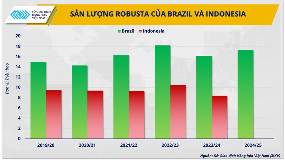 Giá cà phê sẽ hạ nhiệt nhờ nguồn cung vụ mới từ Brazil và Indonesia?