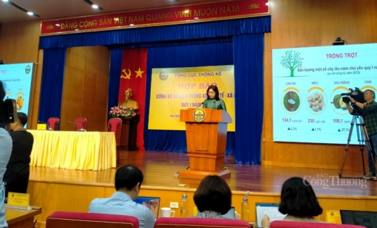 gdp quy i2024 uoc tang 566 so voi cung ky nam 2023