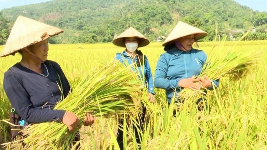 ha giang huong toi muc tieu dua nganh nong nghiep phat trien dot pha