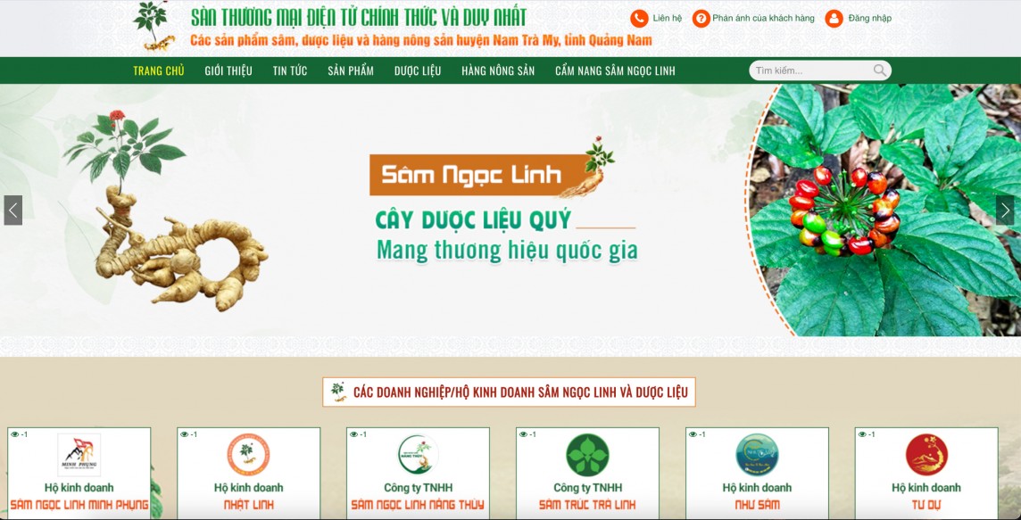 Ra mắt sàn thương mại điện tử chính thức và duy nhất về sâm Ngọc Linh