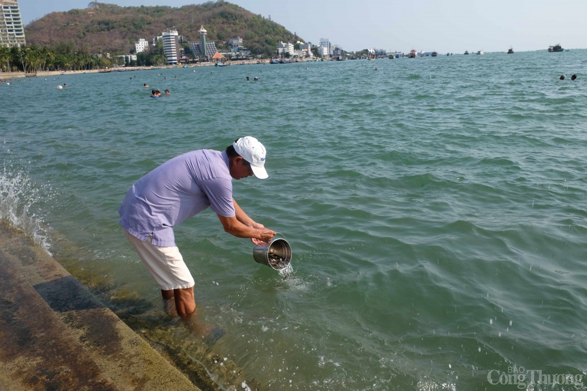 Bà Rịa – Vũng Tàu: Thả hơn 1 triệu con giống tái tạo nguồn lợi thủy sản