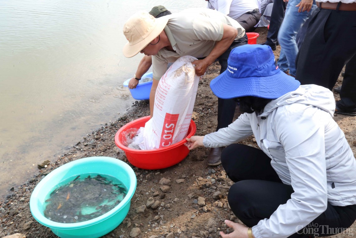 Bà Rịa – Vũng Tàu: Thả hơn 1 triệu con giống tái tạo nguồn lợi thủy sản