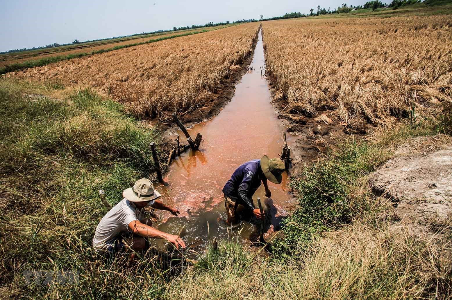 Thủ tướng chỉ thị tăng cường phòng, chống nắng nóng, hạn hán, thiếu nước, xâm nhập mặn- Ảnh 1.