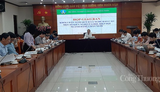 quy i2024 xuat khau san pham chan nuoi uoc dat 113 trieu usd