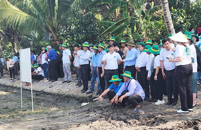 TP. Cần Thơ: Khởi động cánh đồng 1 triệu ha lúa chất lượng cao, mục tiêu sản xuất thân thiện môi trường