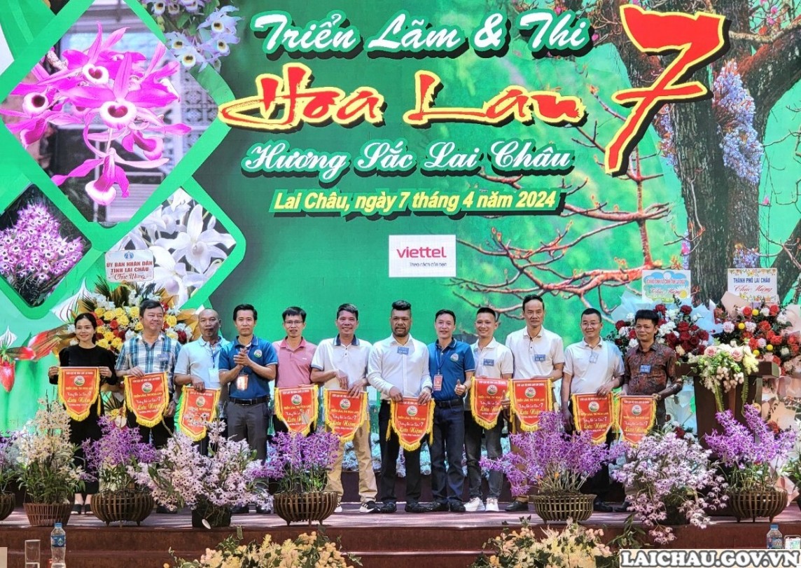 Triển lãm và thi hoa lan 