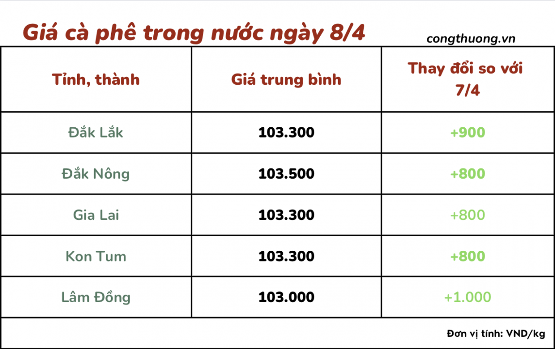 Giá cà phê hôm nay, 8/4/2024: Giá cà phê trong nước giảm nhẹ