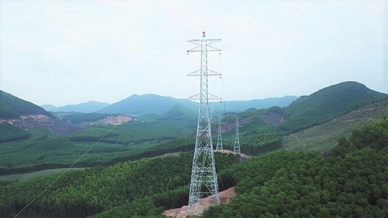 Thanh Hóa chuyển đổi đất rừng để thực hiện dự án đường dây 220kV Nậm Sum - Nông Cống