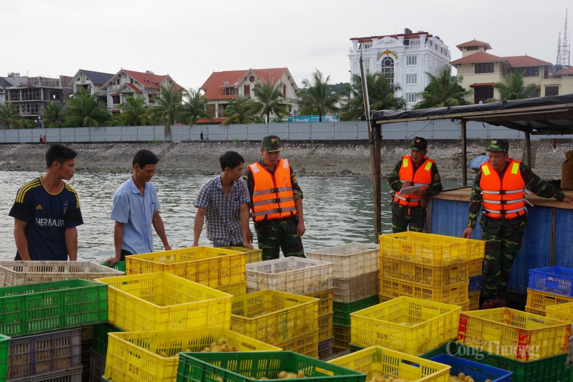 Bài 1: Ngăn chặn ngay từ cửa ngõ biên giới