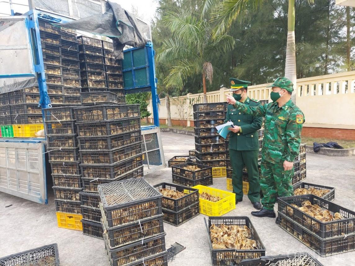 Bài cuối: Cuộc chiến chống buôn lậu còn nhiều gian nan