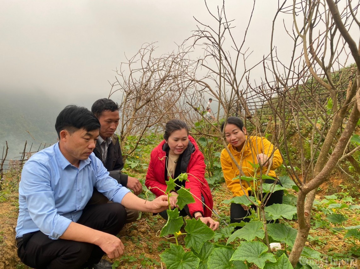 “Ngày cuối tuần cùng dân” giúp Mù Cang Chải khoác áo mới