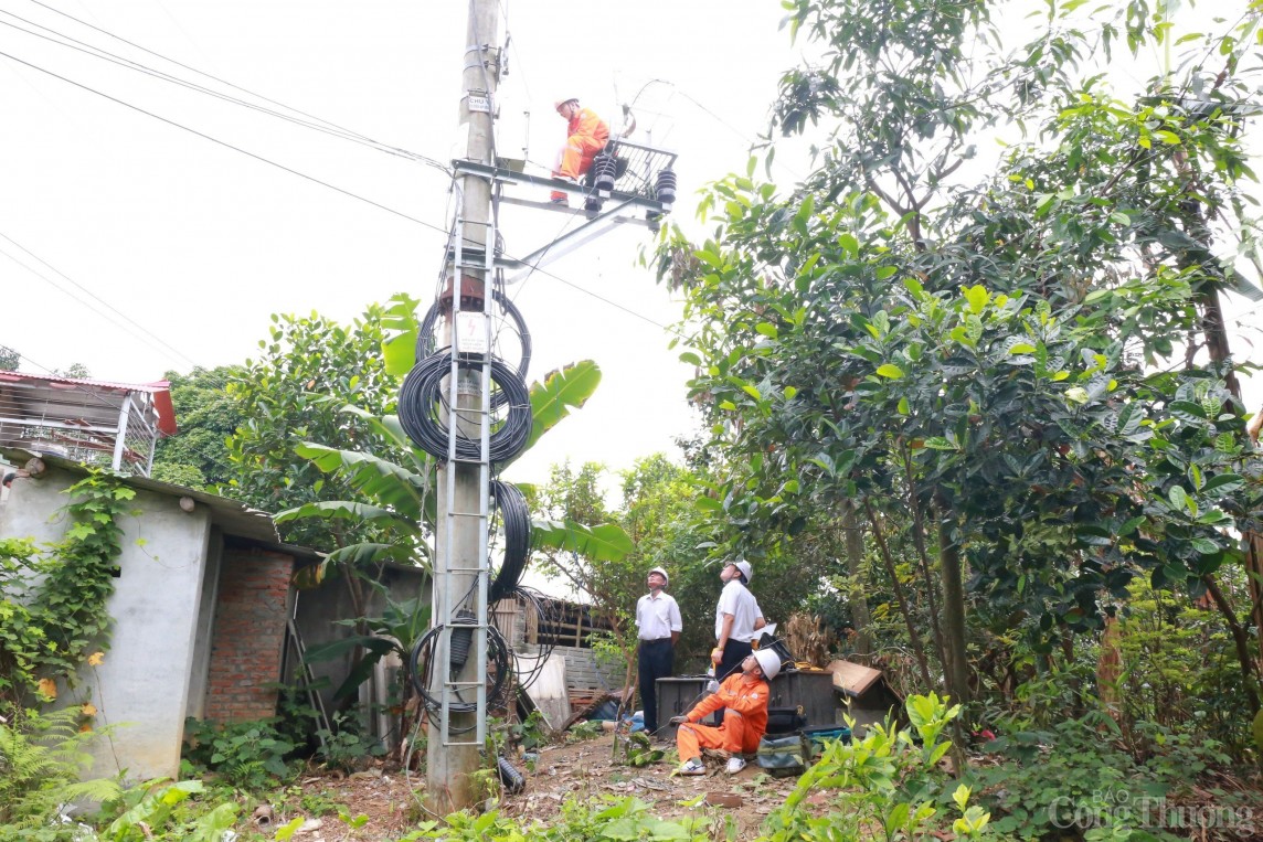 Lào Cai: Diễn tập, chủ động phương án xử lý sự cố điện