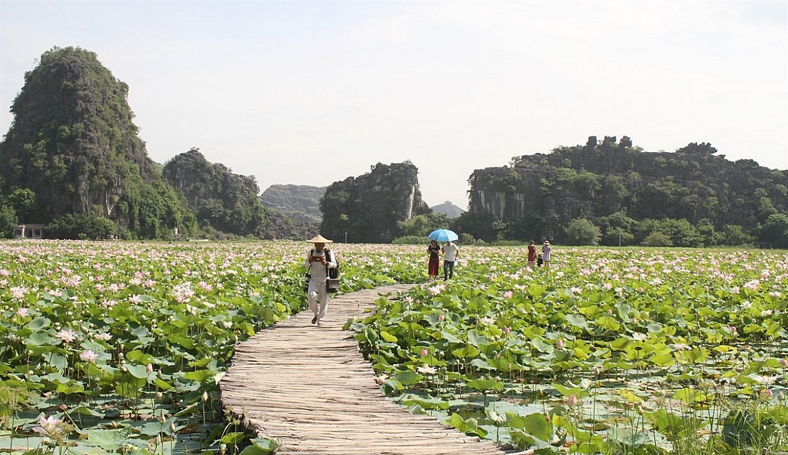 Ninh Bình, Thanh Hóa, Nghệ An, Hà Tĩnh: Một hành trình nhiều trải nghiệm