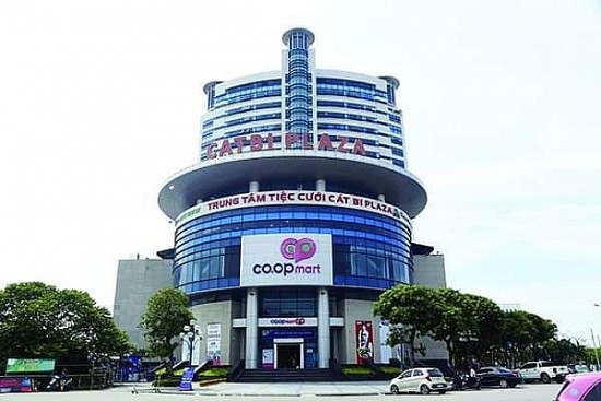 coopmart hai phong dau an tuoi 12