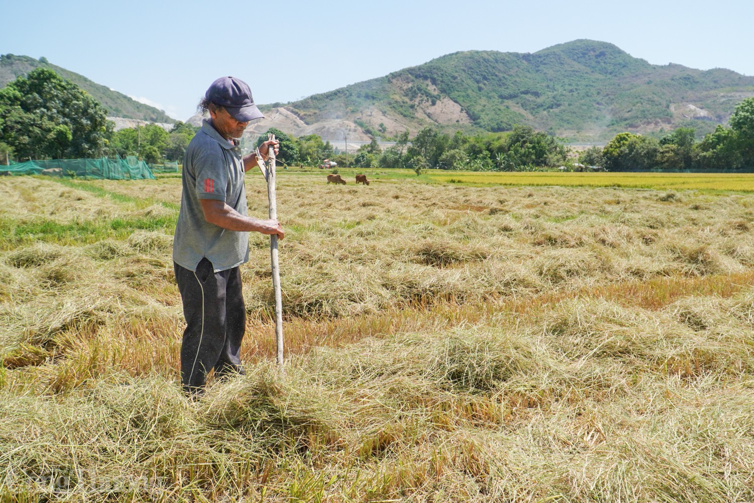 Bài 3: Khẩn trương ứng phó hạn hán, xâm nhập mặn