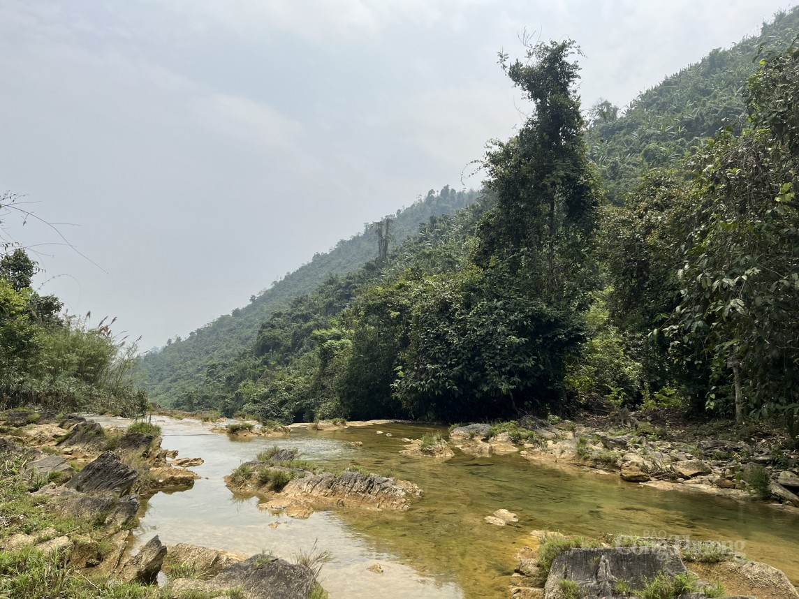 Tuyên Quang: Không đánh đổi tài nguyên rừng để phát triển du lịch