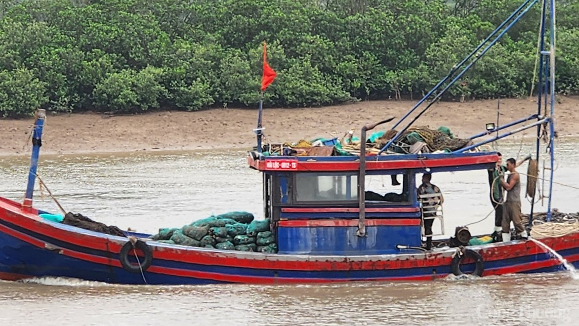 Thanh Hóa: Xử lý nghiêm tình trạng khai thác tận diệt thủy sản