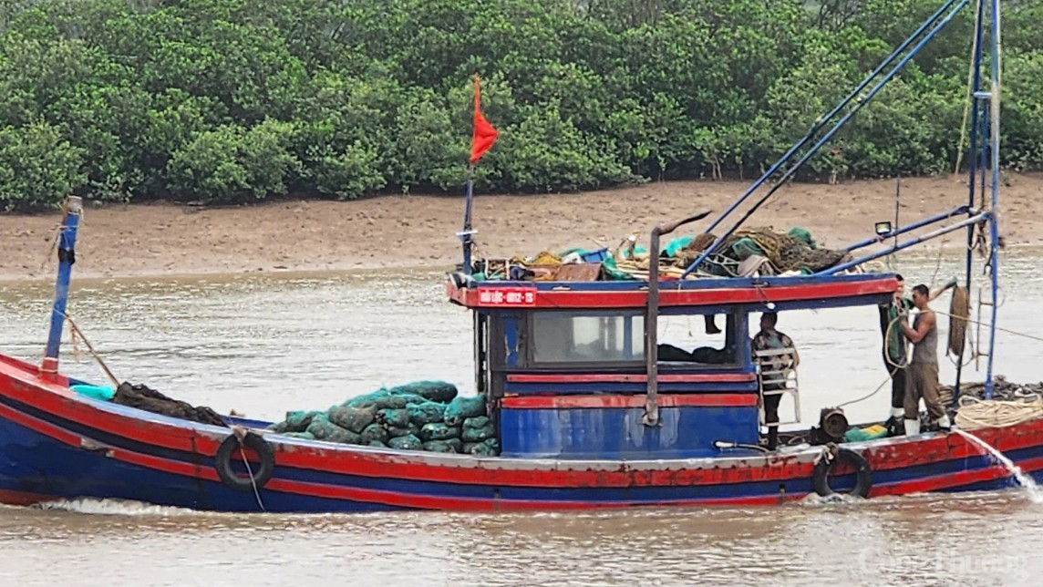 Thanh Hóa: Xác minh tình trạng khai thác tận diệt thủy sản theo phản ánh của Báo Công Thương