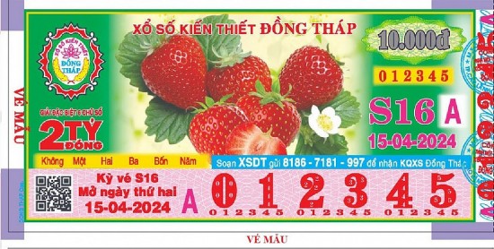 cong ty tnhh mtv xo so kien thiet dong thap