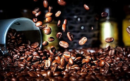 Khủng hoảng nguồn cung, giá cà phê Robusta phá kỷ lục cao nhất lịch sử