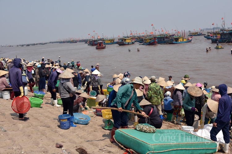 Chợ cá Giao Hải “tăng nhiệt” những ngày đầu nghỉ lễ