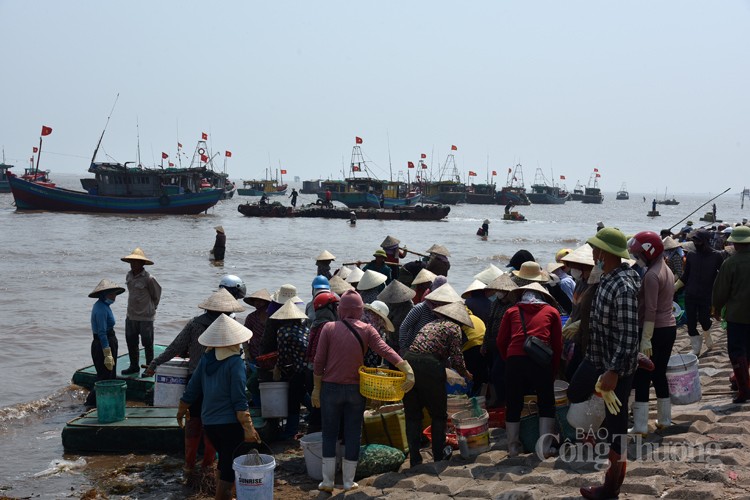 Chợ cá Giao Hải “tăng nhiệt” những ngày đầu nghỉ lễ