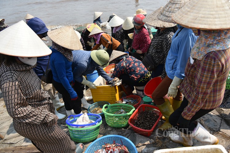 Chợ cá Giao Hải “tăng nhiệt” những ngày đầu nghỉ lễ