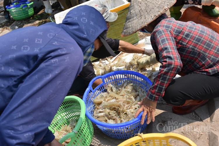 Chợ cá Giao Hải “tăng nhiệt” những ngày đầu nghỉ lễ