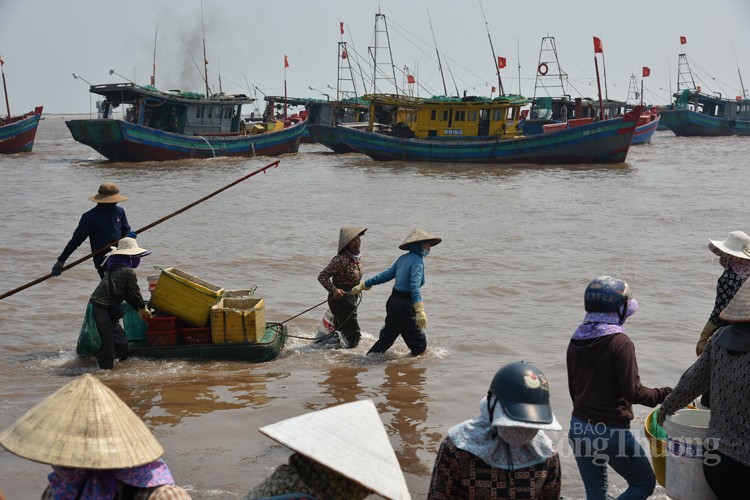 Chợ cá Giao Hải “tăng nhiệt” những ngày đầu nghỉ lễ