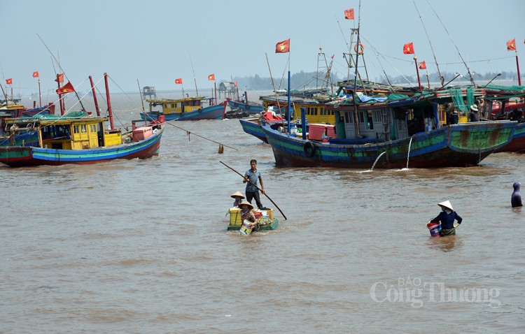 Chợ cá Giao Hải “tăng nhiệt” những ngày đầu nghỉ lễ