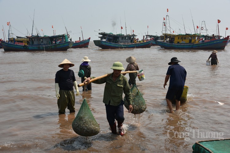 Chợ cá Giao Hải “tăng nhiệt” những ngày đầu nghỉ lễ