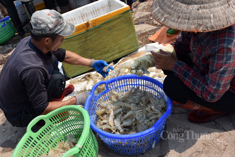 Chợ cá Giao Hải “tăng nhiệt” những ngày đầu nghỉ lễ