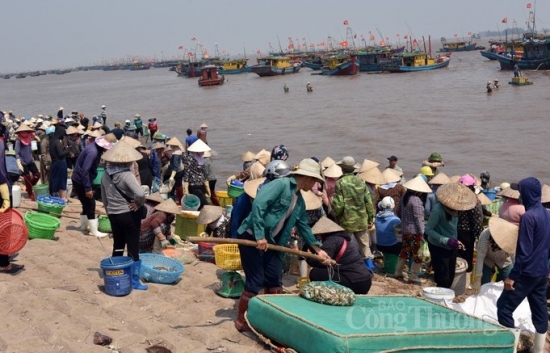 Chợ cá Giao Hải “tăng nhiệt” những ngày đầu nghỉ lễ