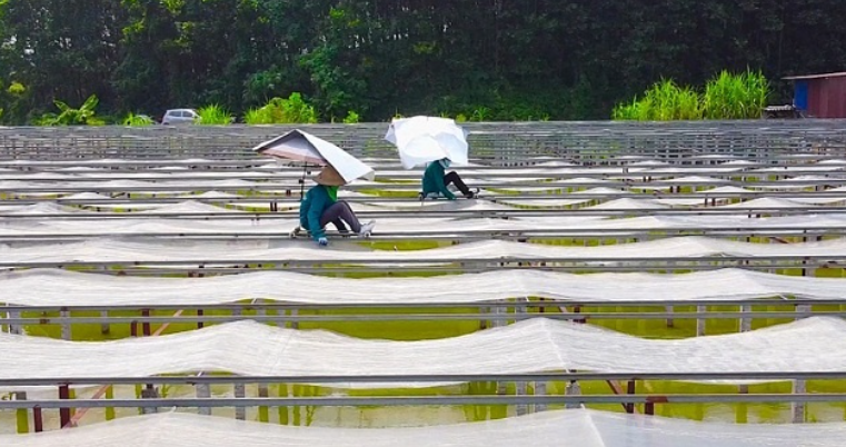 Thái Nguyên: Chuyển đổi số tạo động lực để hợp tác xã vươn xa