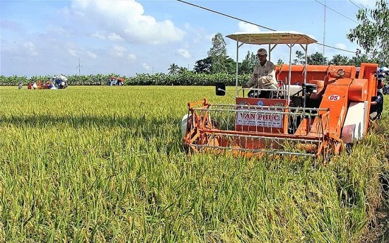 Sóc Trăng: Nâng tầm nông nghiệp bằng đổi mới sáng tạo, hướng đến phát triển bền vững