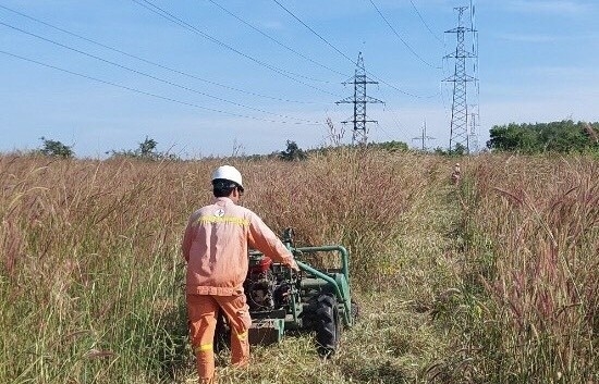 Tăng cường bảo vệ hành lang lưới điện cao áp mùa nắng nóng 2024