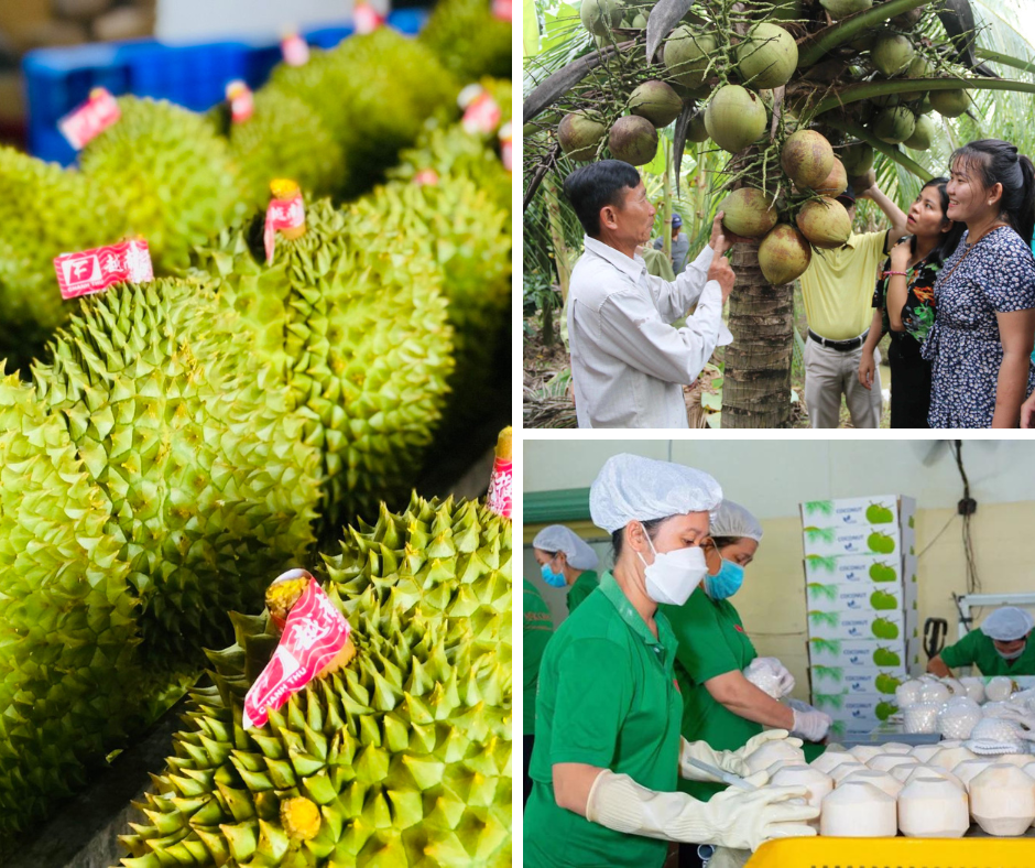 Longform | Phía sau hành trình đưa thương hiệu, hàng hóa Việt Nam sang Australia