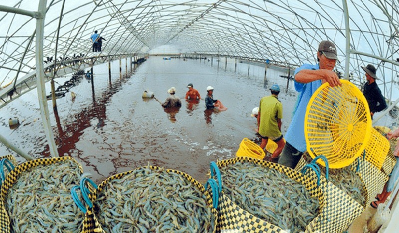 Mỹ xem xét đưa Việt Nam là nền kinh tế thị trường, cổ phiếu thủy sản, dệt may "bật tăng"