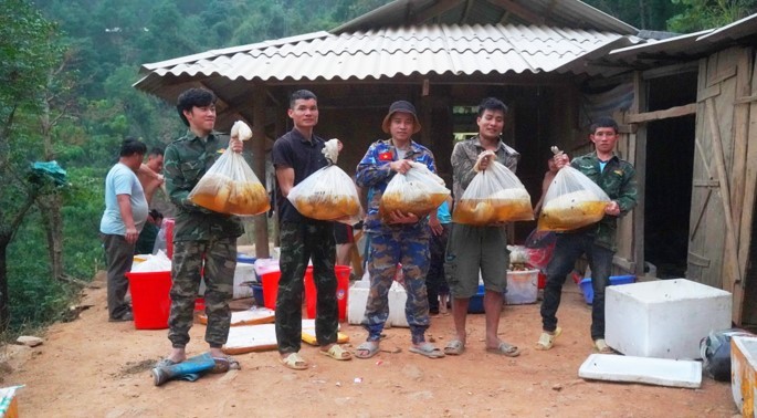 Điện Biên: Kỳ lạ cây đa cổ thụ có hàng trăm đàn ong khoái làm tổ, thu hàng tấn mật