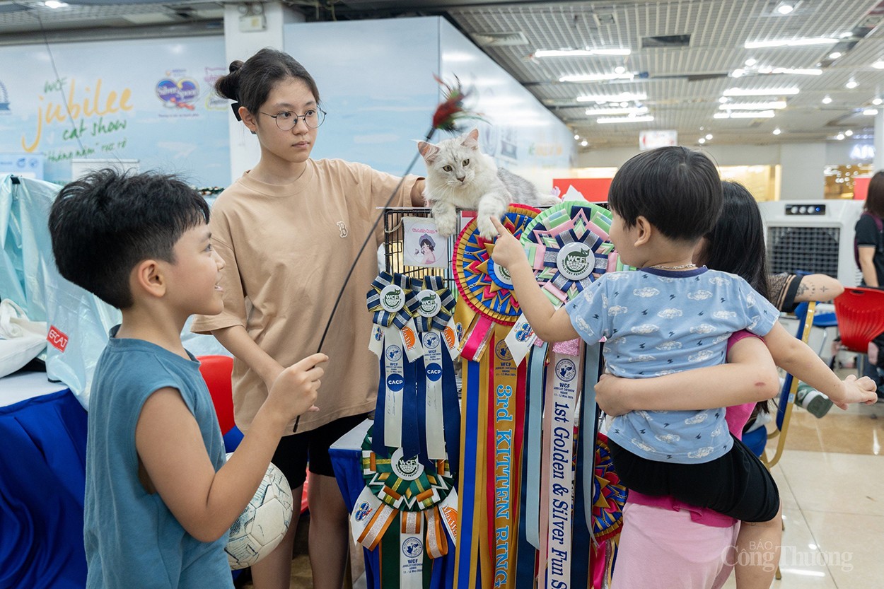 WCF Jubilee Cat Show 2024: Thúc đẩy nghề nhân giống, xuất khẩu mèo